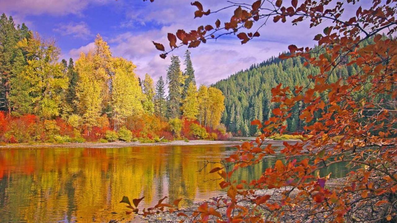 Luxe Leavenworth Cottage ภายนอก รูปภาพ